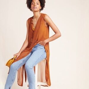Anthro Maeve Meriwether Sheer Tunic
